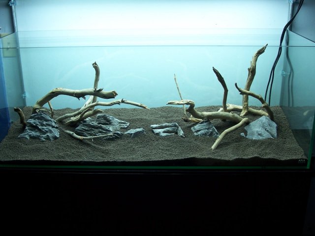 000_1414.JPG