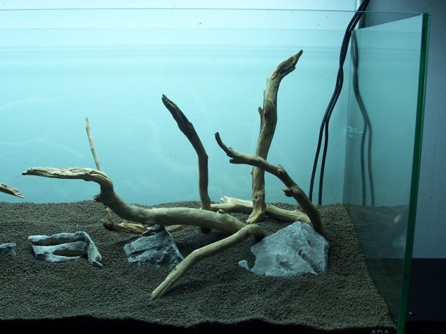 000_1415.JPG