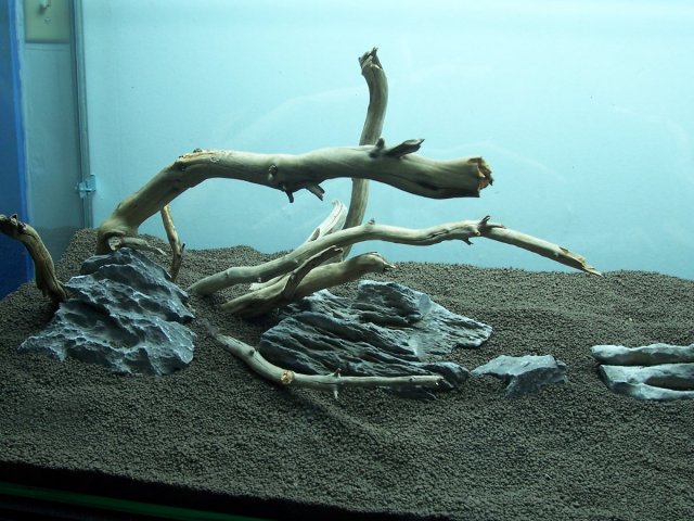 000_1416.JPG