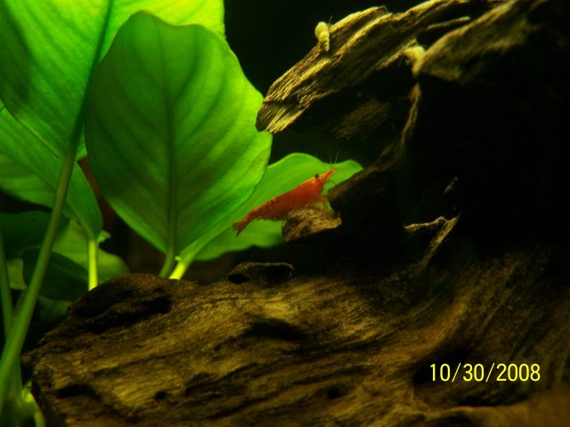 100_1095.JPG 100_1095.JPG