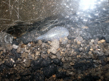 PICT1143.jpg