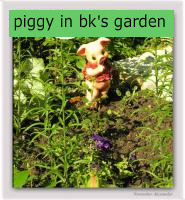 small_pig_funny_2_jpg-1.jpg
