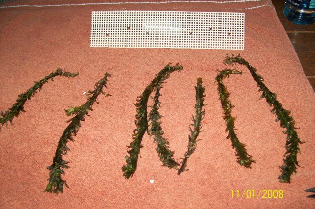 11-01-02 004.jpg 11-01-02 004.jpg