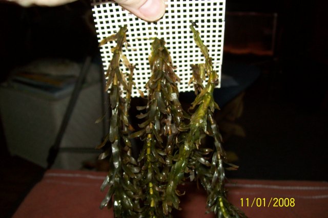 11-01-02 010.jpg 11-01-02 010.jpg
