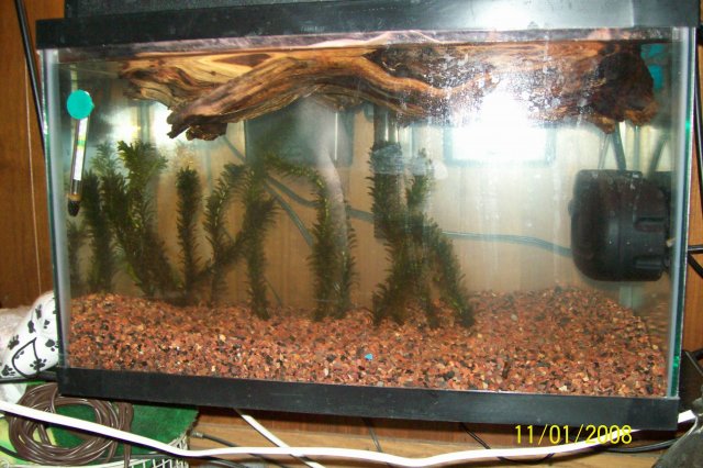 11-01-02 011.jpg 11-01-02 011.jpg