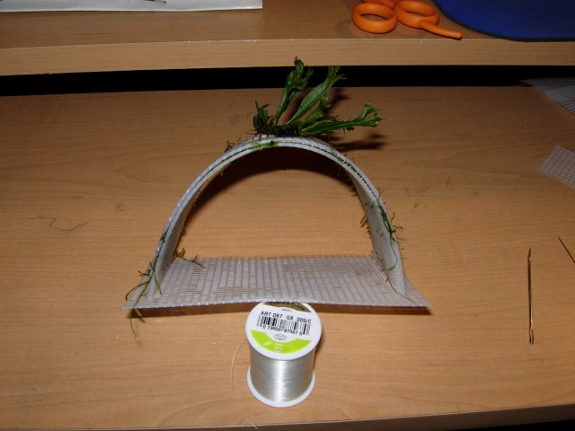 DSCN0529.JPG