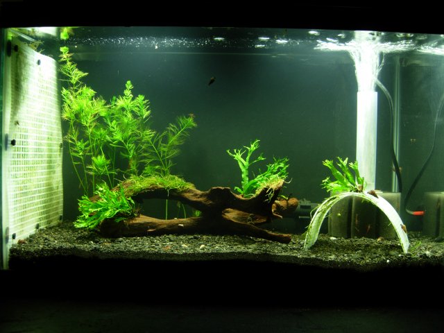 10g 11-01.JPG