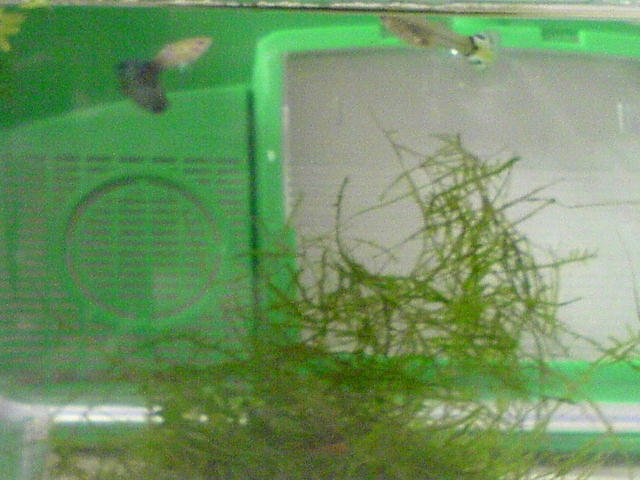 DSC00008.JPG DSC00008.JPG
