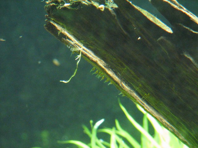 IMG_3032.jpg IMG_3032.jpg