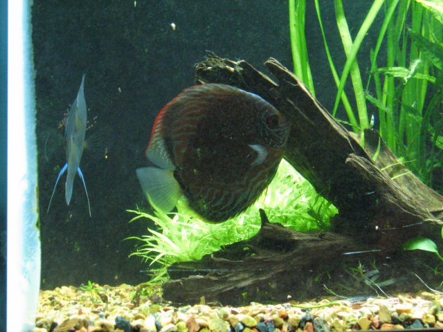 IMG_3029.jpg IMG_3029.jpg