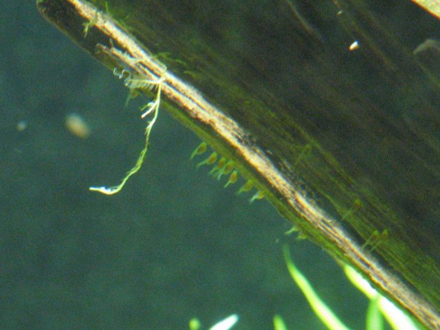 IMG_3032.jpg IMG_3032.jpg