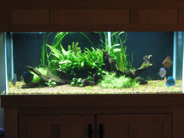 IMG_3037.jpg IMG_3037.jpg