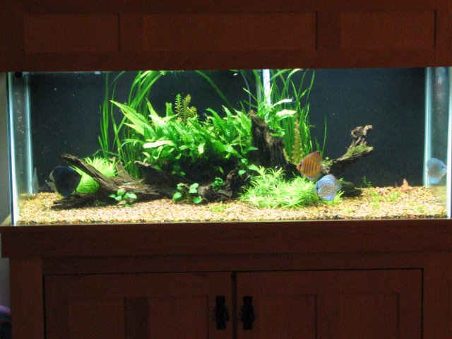 IMG_3038.jpg IMG_3038.jpg