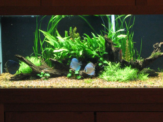 IMG_3040.jpg IMG_3040.jpg