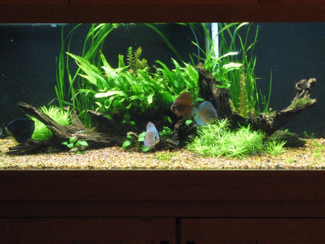 IMG_3041.jpg IMG_3041.jpg