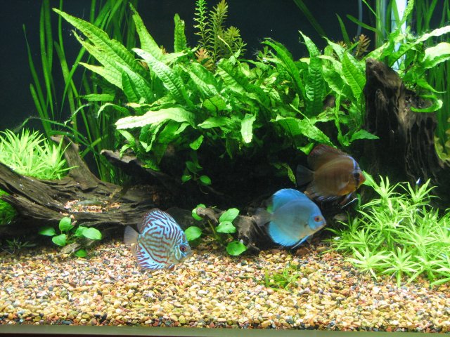 IMG_3043.jpg IMG_3043.jpg