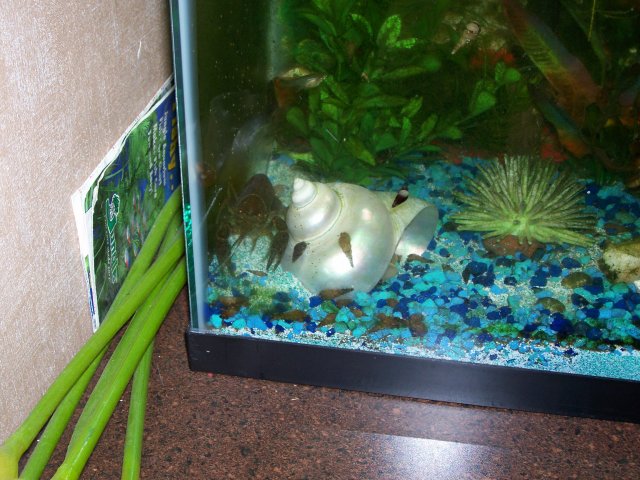 100_1615.JPG