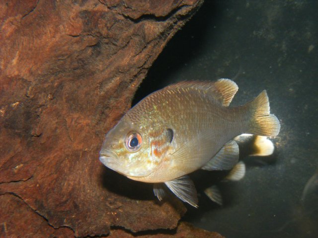 DSCF1737.JPG