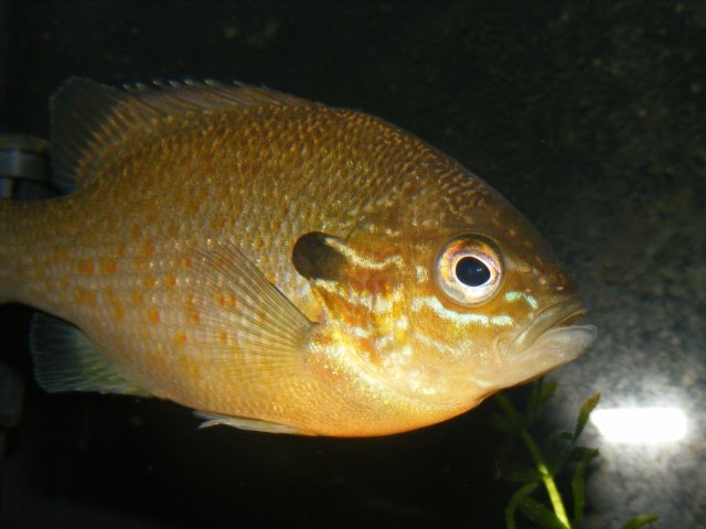 DSCF1748.JPG