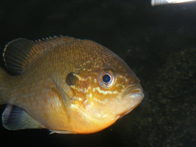DSCF1762.JPG