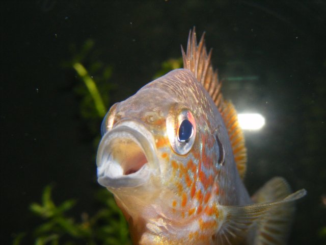 DSCF1854.JPG