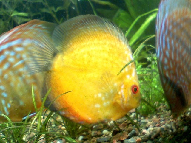 1103082318.jpg