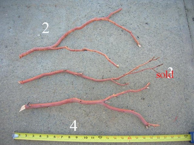 DSCN3257.JPG