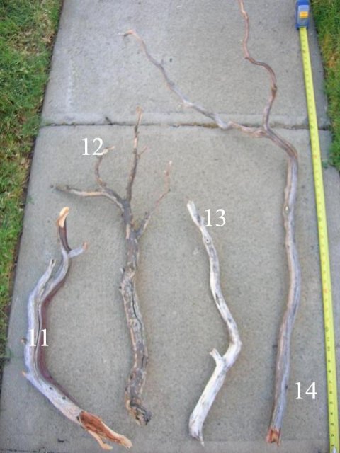 DSCN3259.JPG