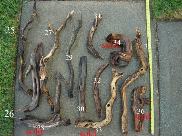DSCN3289.JPG