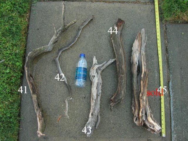 DSCN3292.JPG