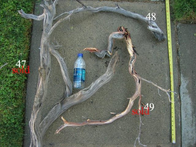 DSCN3299.JPG