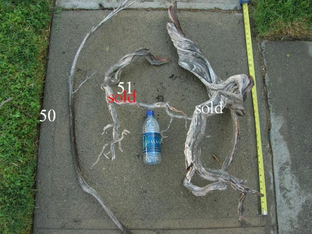 DSCN3300.JPG
