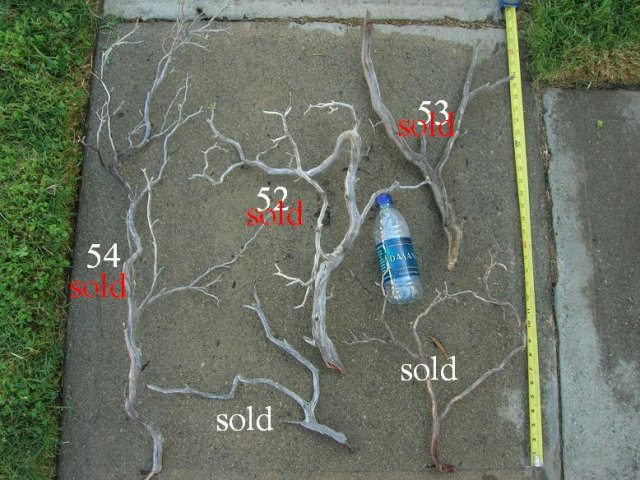 DSCN3302.JPG