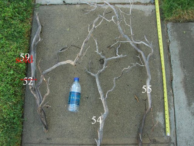 DSCN3303.JPG