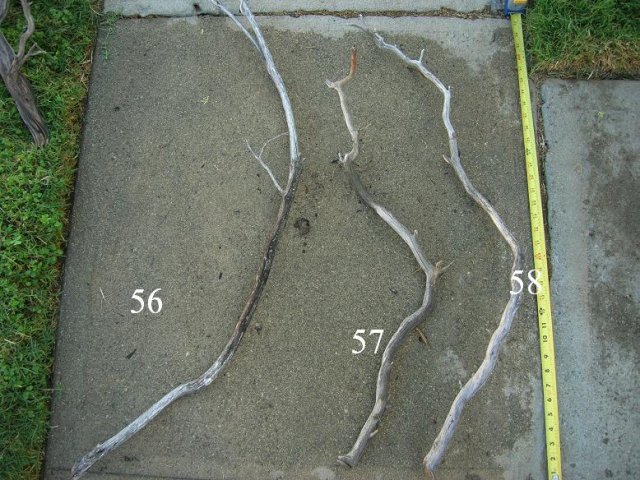 DSCN3305.JPG