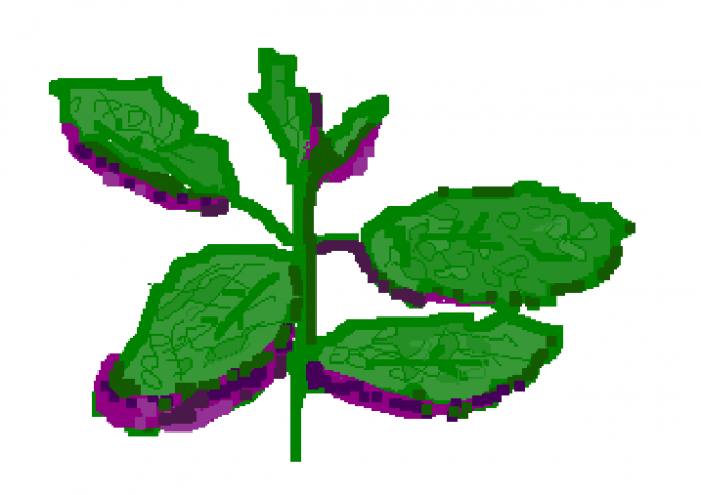 Picture 3.png