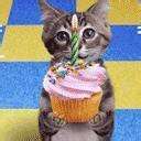 birthdaykit.jpg