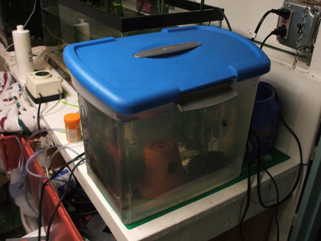 DSCF1579.JPG