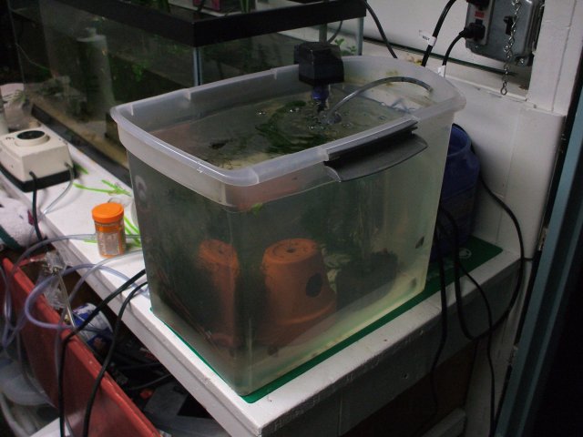 DSCF1578.JPG