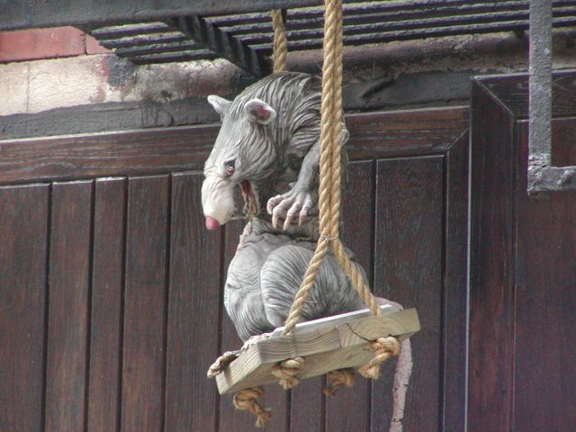 rats_of_man_hattan.jpg