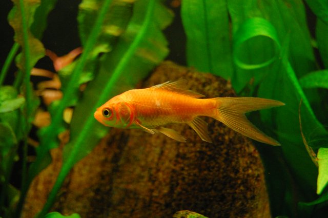 DSC_0435.JPG DSC_0435.JPG