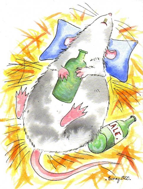 rat_drink.JPG