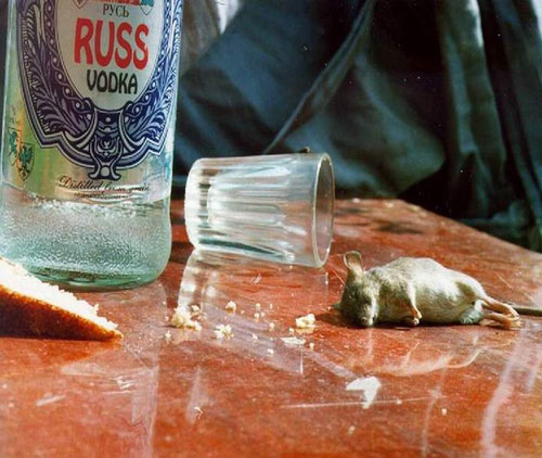 mouse-vodka.jpg