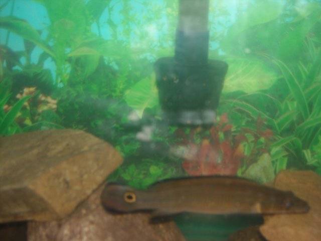 DSCN0025.JPG