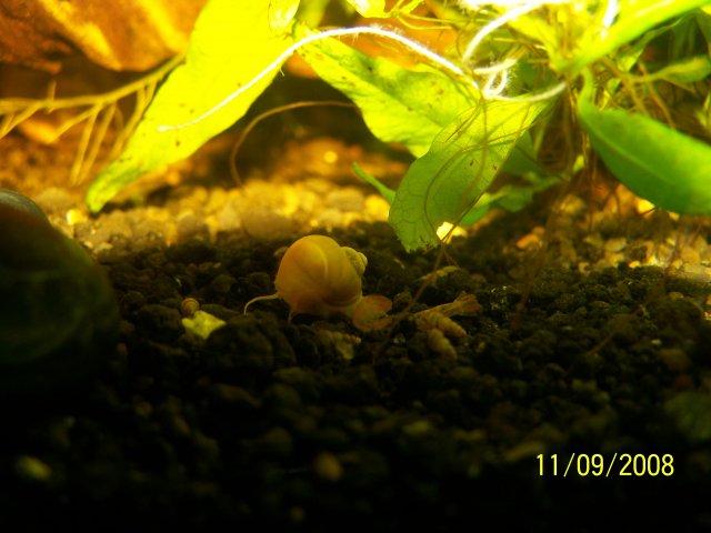 100_1130.JPG