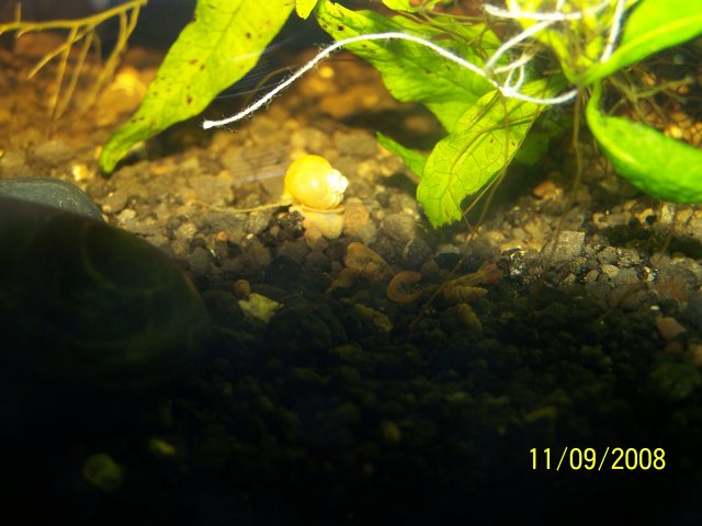 100_1131.JPG