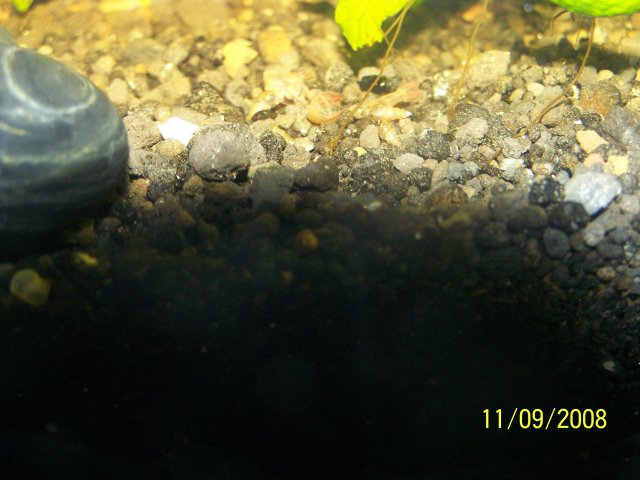 100_1132.JPG