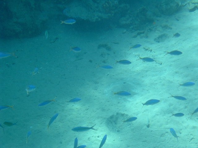 DSCF0161.JPG