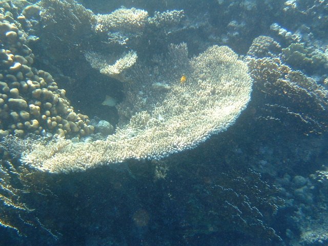 DSCF0164.JPG