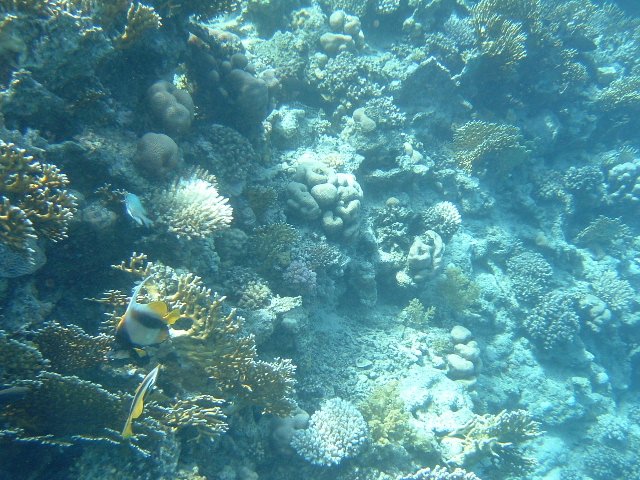 DSCF0167.JPG